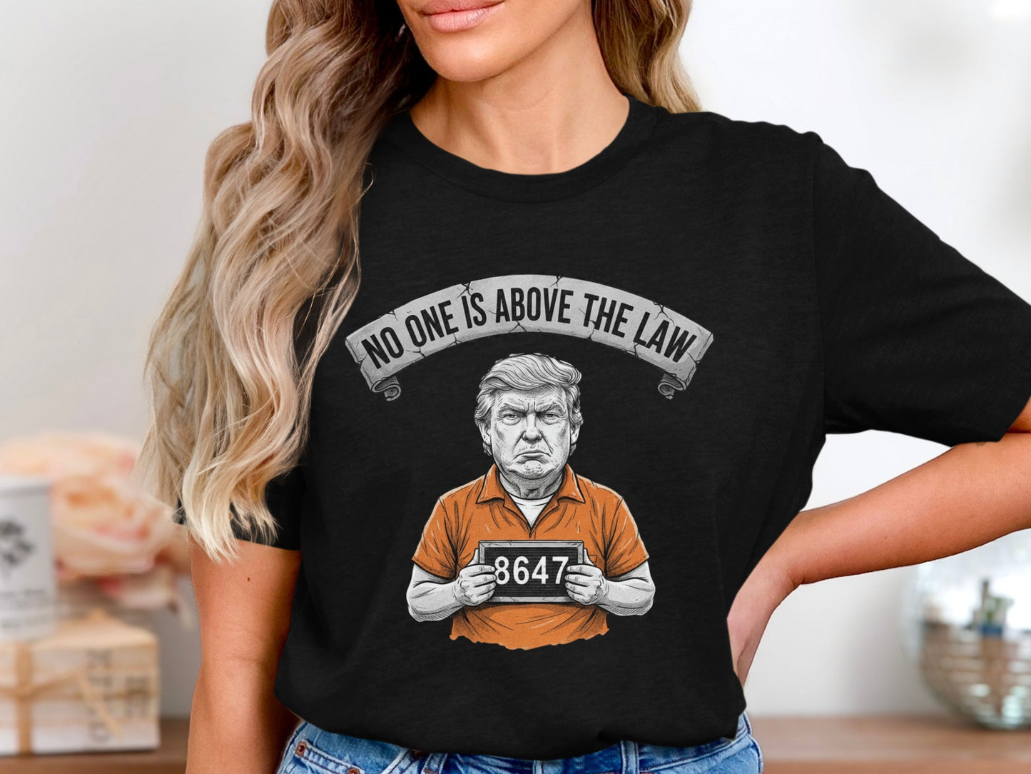 No One Is Above the Law 8647 Funny Shirt product type