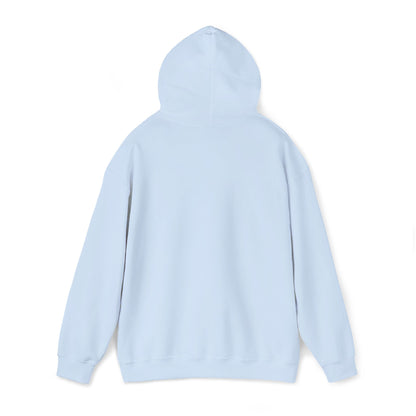 Anti Trump Embroidered Hoodie FDT Political Anti Maga Hoodie