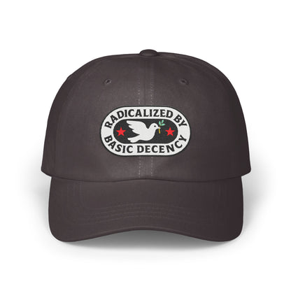 Radicalized By Basic Decency Hat product type