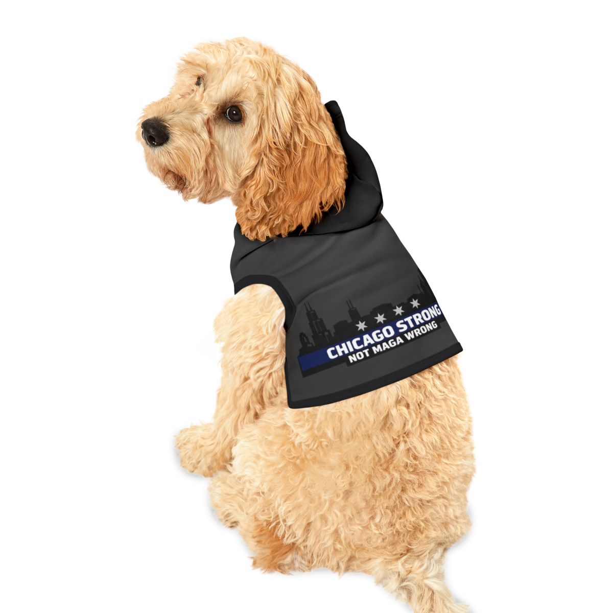 Chicago Strong Not MAGA Wrong Pet Hoodie