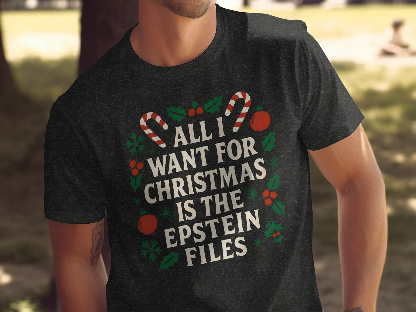 All I Want For Christmas Is The Epstein Files product type