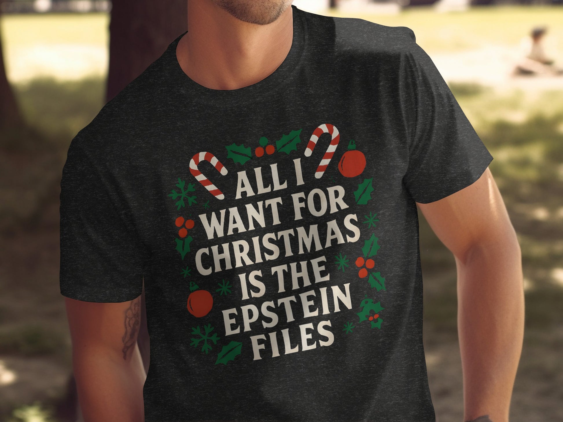 All I Want For Christmas Is The Epstein Files product type