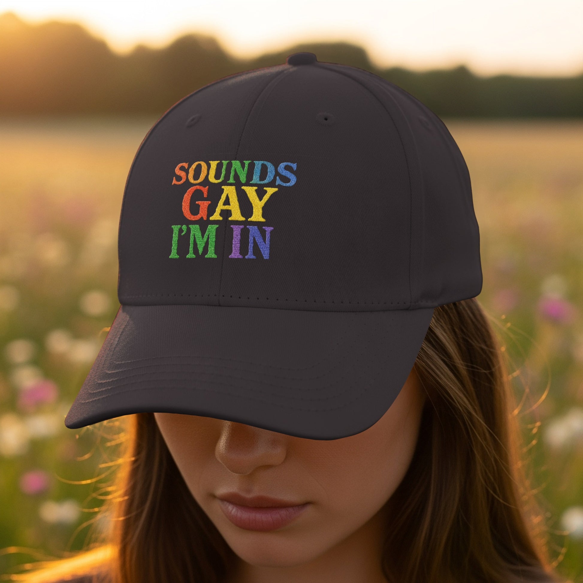 Sounds Gay I'm In Rainbow Embroidered Hat product