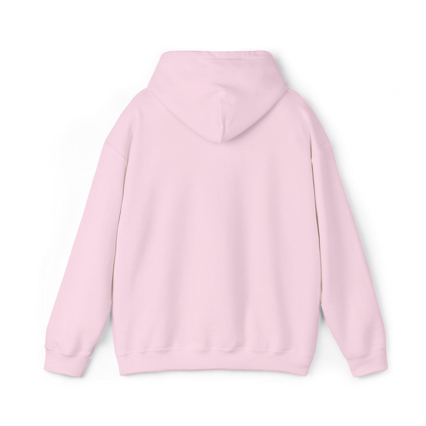 Anti Trump Embroidered Hoodie FDT Political Anti Maga Hoodie