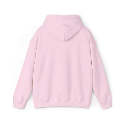 Anti Trump Embroidered Hoodie FDT Political Anti Maga Hoodie