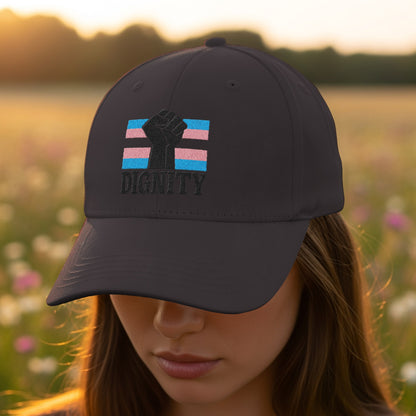 Dignity Embroidered Statement Design Hat product type