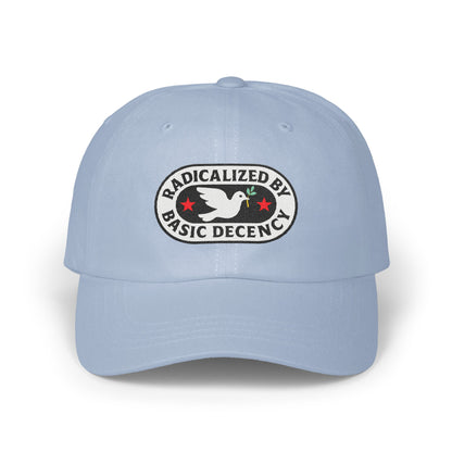 Radicalized By Basic Decency Embroidered Hat product type