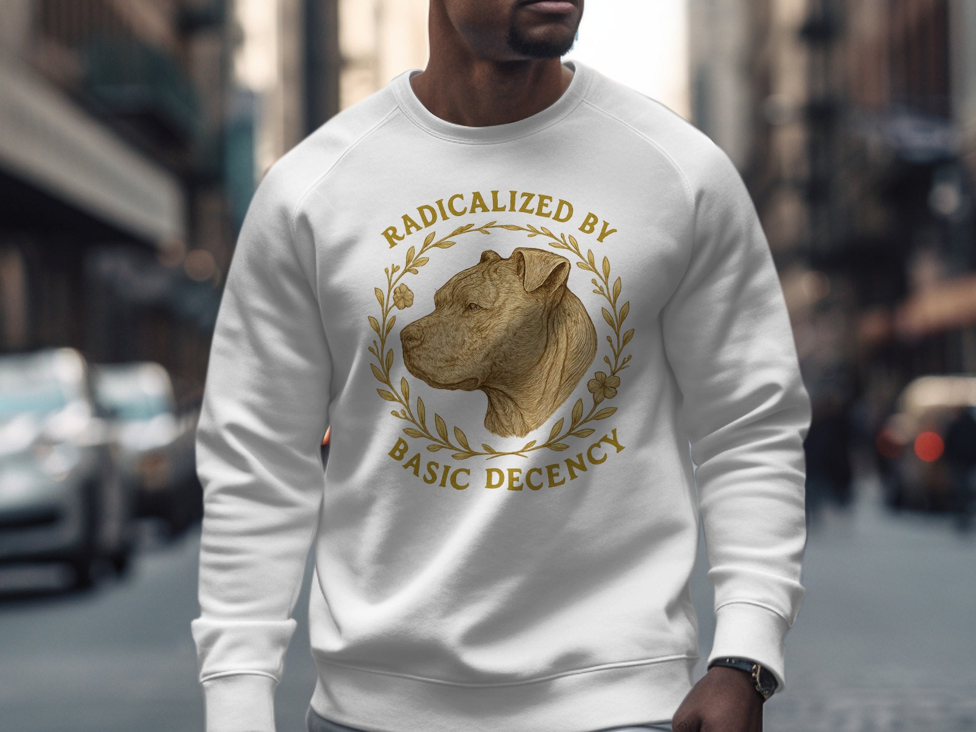 Radicalized By Basic Decency Sweatshirt product
