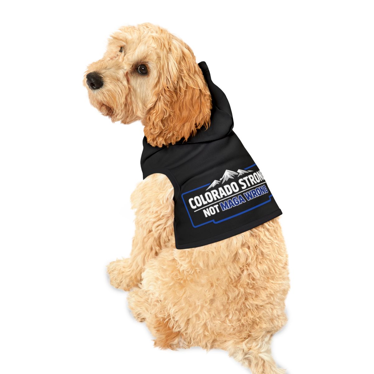 Colorado Strong Not MAGA Wrong Dog Hoodie