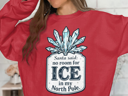 Santa Said No Room for Ice in My North Pole Sweater