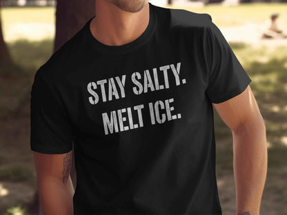 Stay Salty Melt Ice T-Shirts, Funny Sarcastic Quote Tee, Edgy Attitude Graphic Shirt, Humorous Statement T-Shirts, Unique Text Design