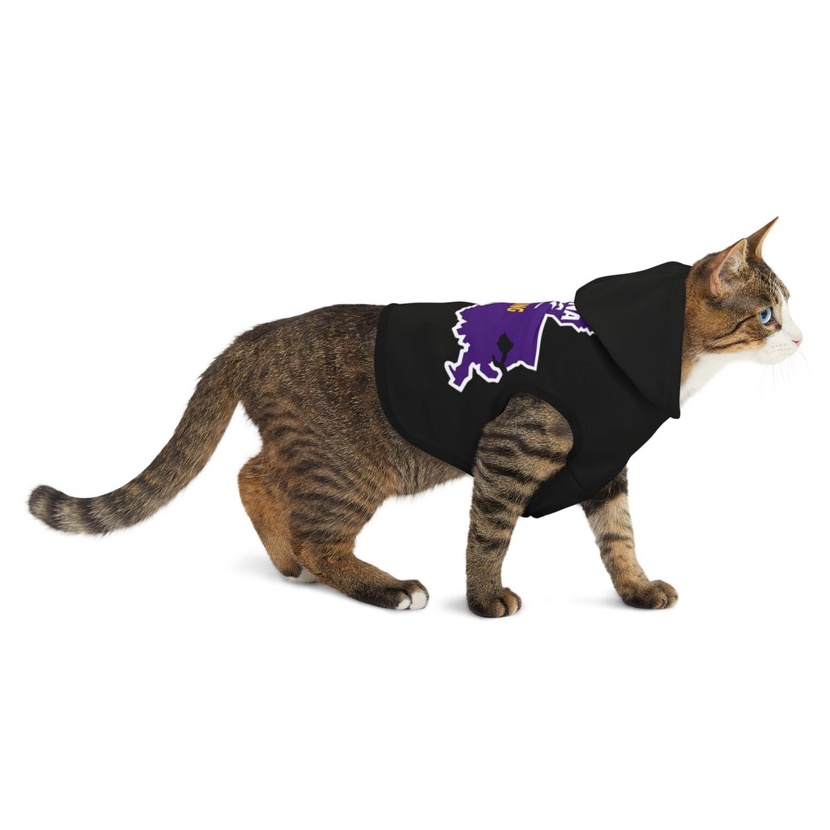 Purple Dinosaur Graphic Black Cat Wearing Hoodie