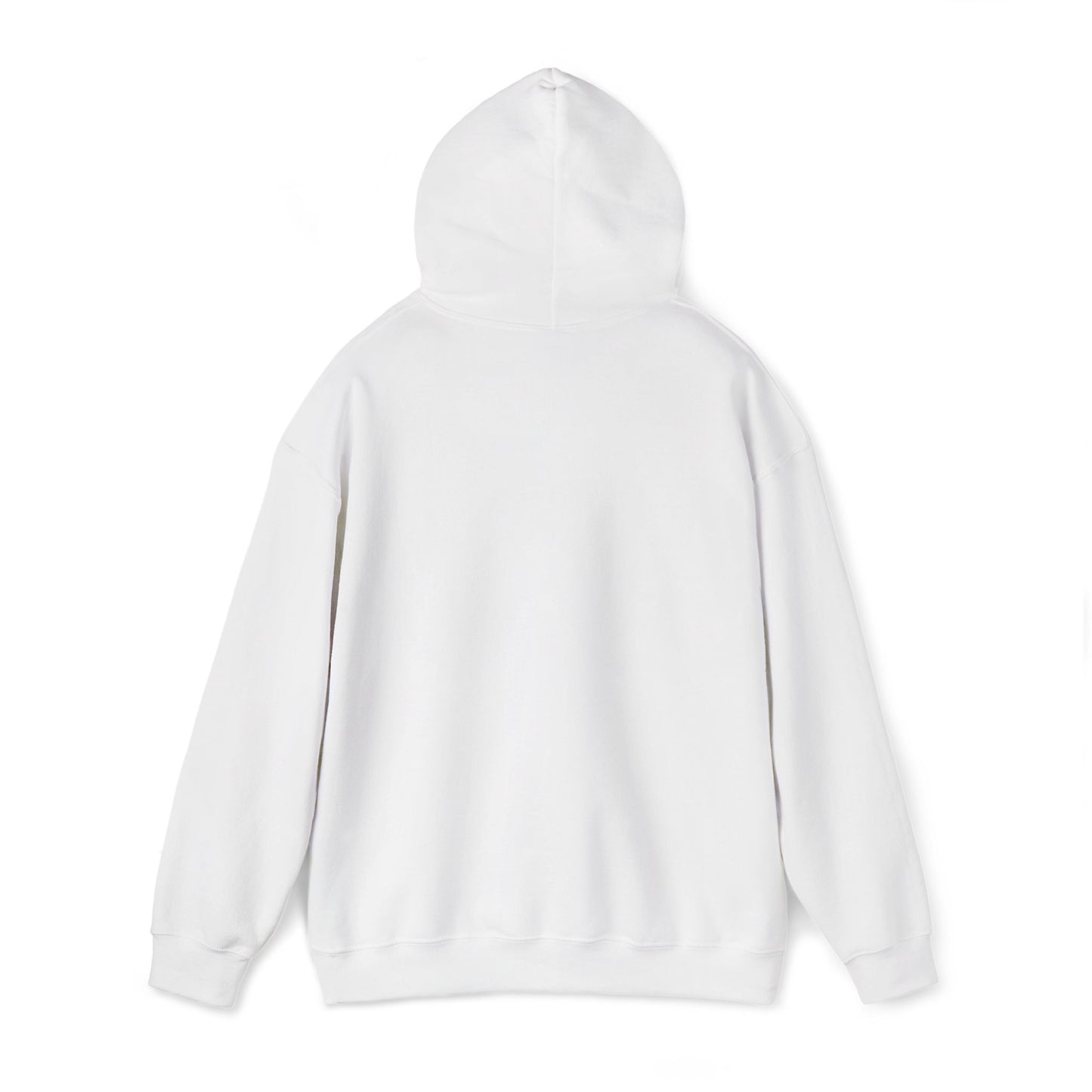 Anti Trump Embroidered Hoodie FDT Political Anti Maga Hoodie