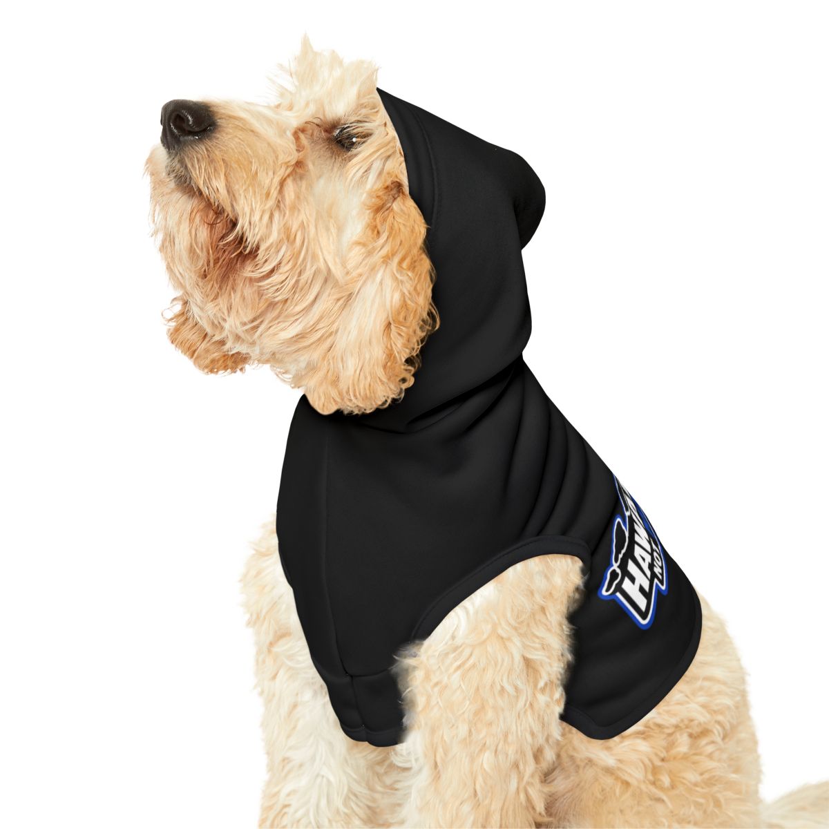 Warm and Stylish Black Dog Hoodie Pet Apparel