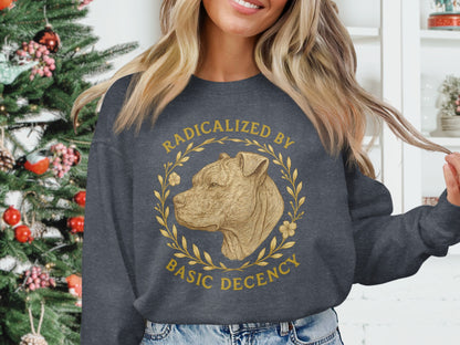 Radicalized By Basic Decency Sweatshirt product