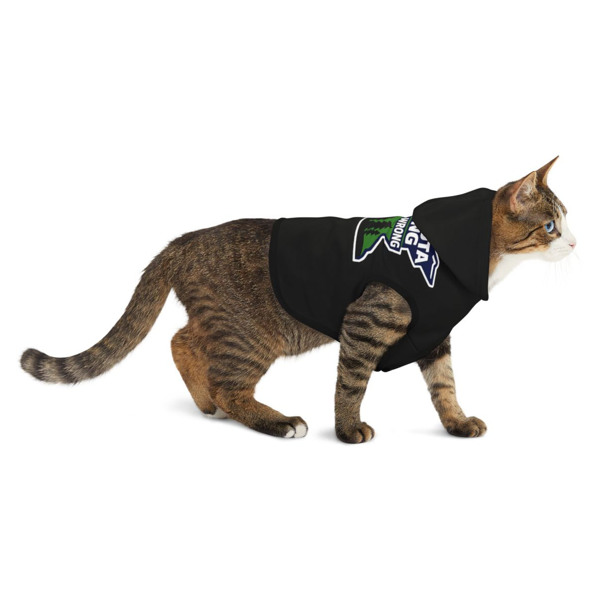 Cool Black Cat Hoodie Featuring Bold Graphic Design