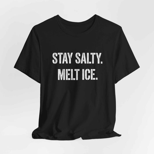 Stay Salty Melt Ice T-Shirts, Funny Sarcastic Quote Tee, Edgy Attitude Graphic Shirt, Humorous Statement T-Shirts, Unique Text Design