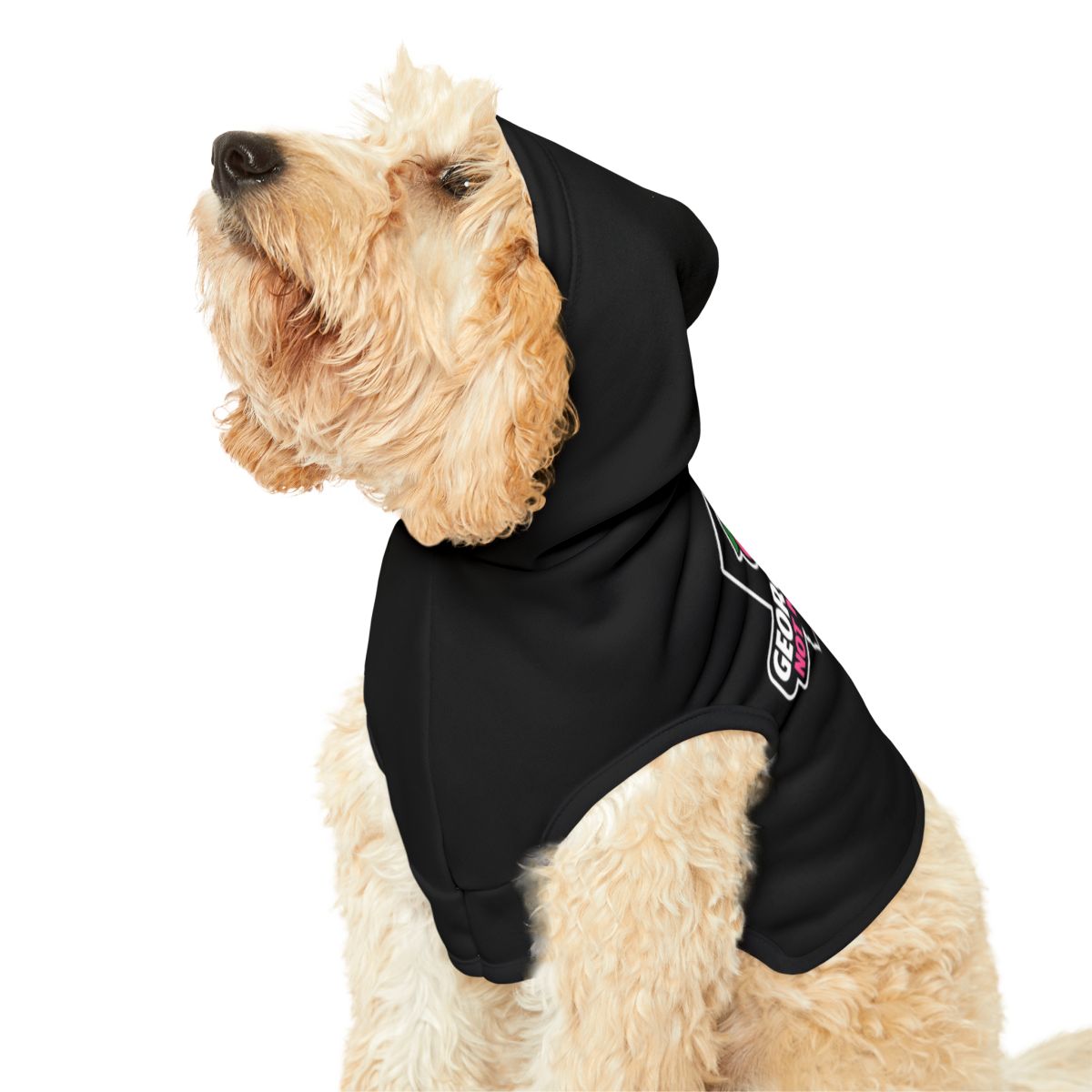 Stylish Black Dog Hoodie with Logo Patch Design