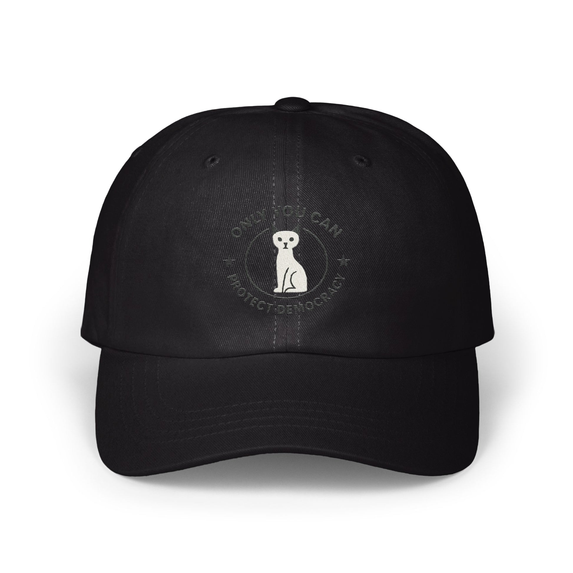 Protect Democracy Only You Can Baseball Cap product