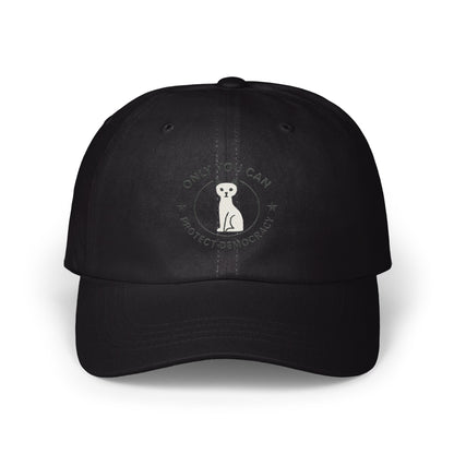 Protect Democracy Only You Can Baseball Cap product