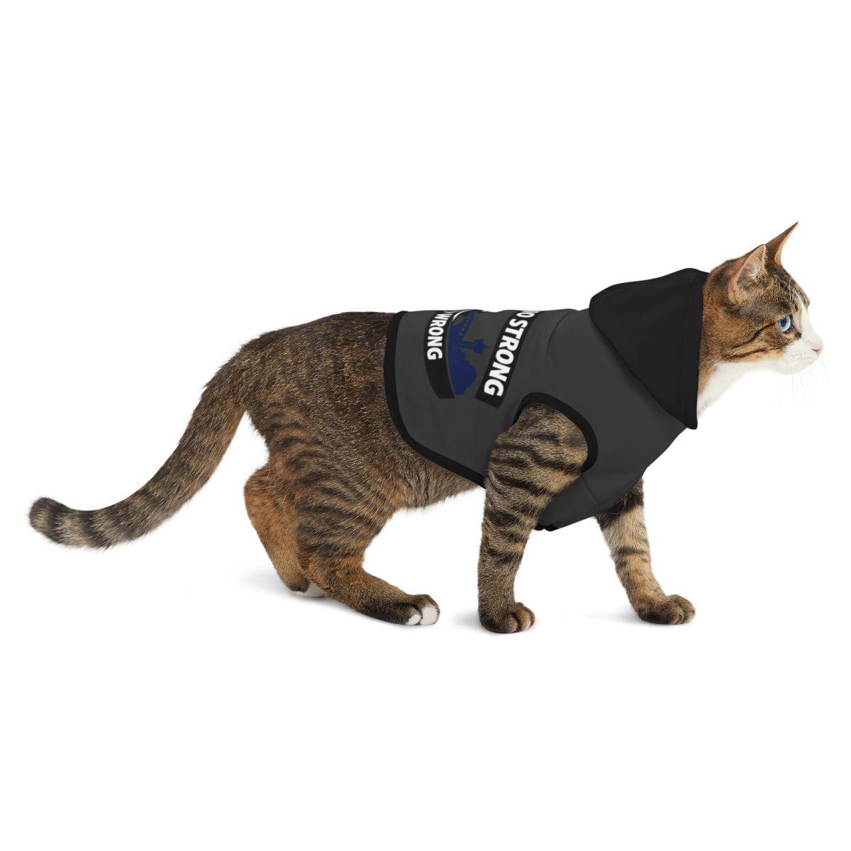 Strong Hooded Black Vest Cat Clothing for Fashionable Pets