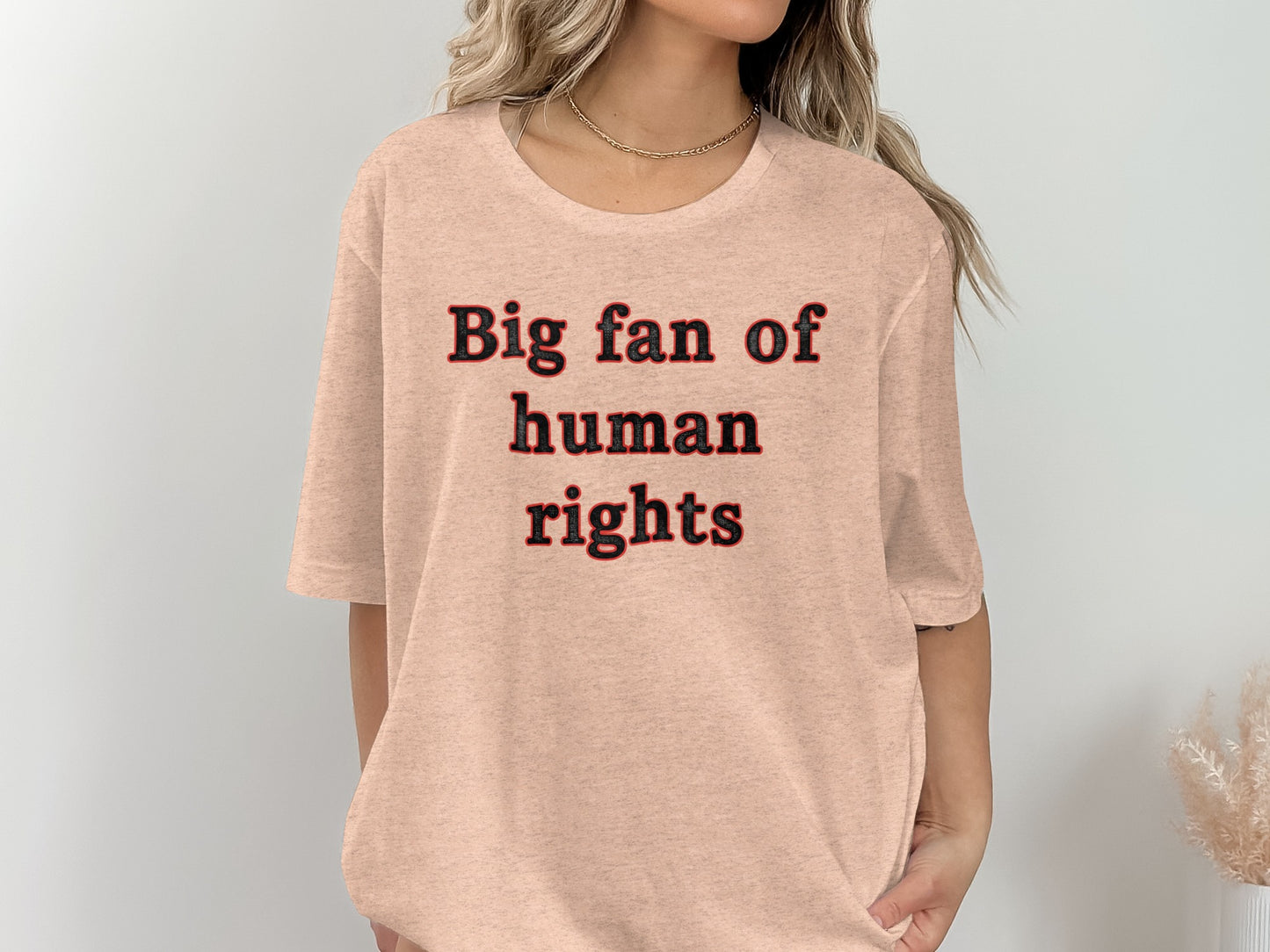 Big fan of human rights graphic t-shirt