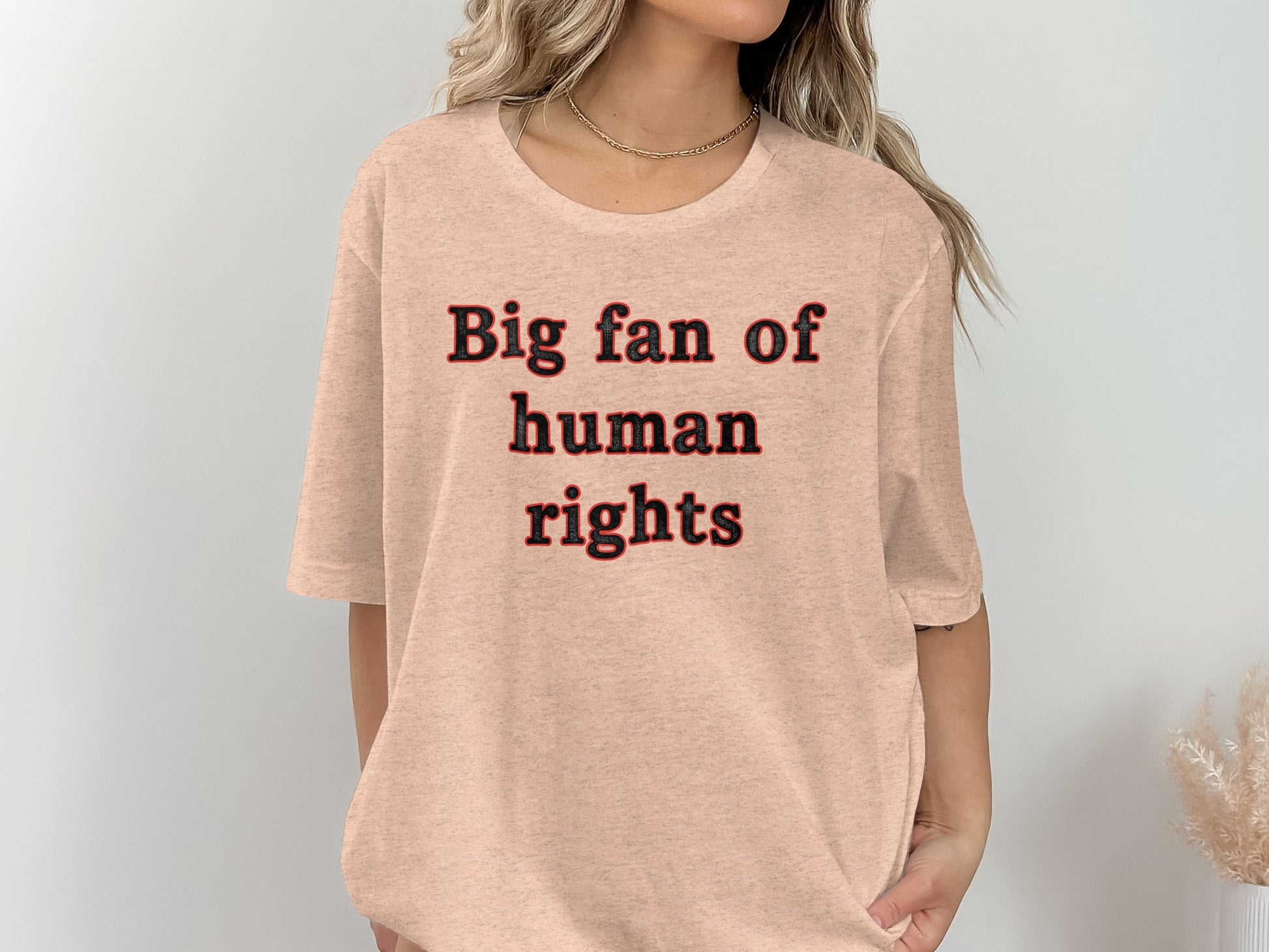 Big fan of human rights graphic t-shirt