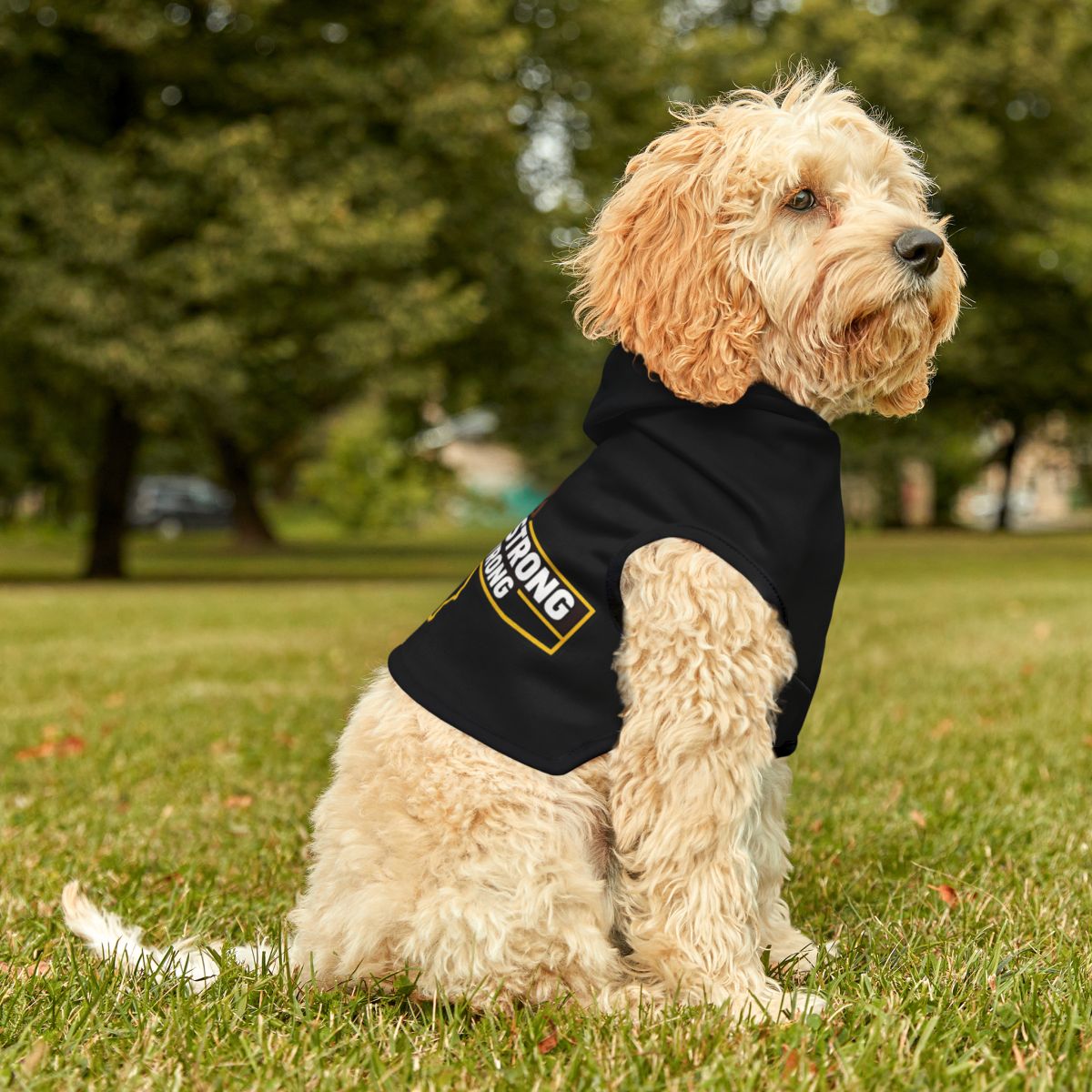 Stylish Black Hoodie for Small Dogs with Strong Print