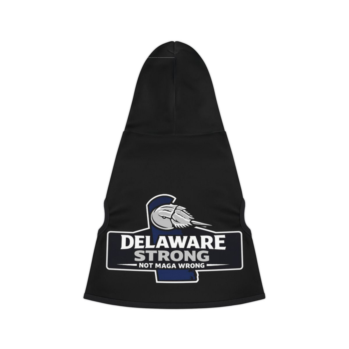 Delaware Strong Not MAGA Wrong Graphic Hoodie
