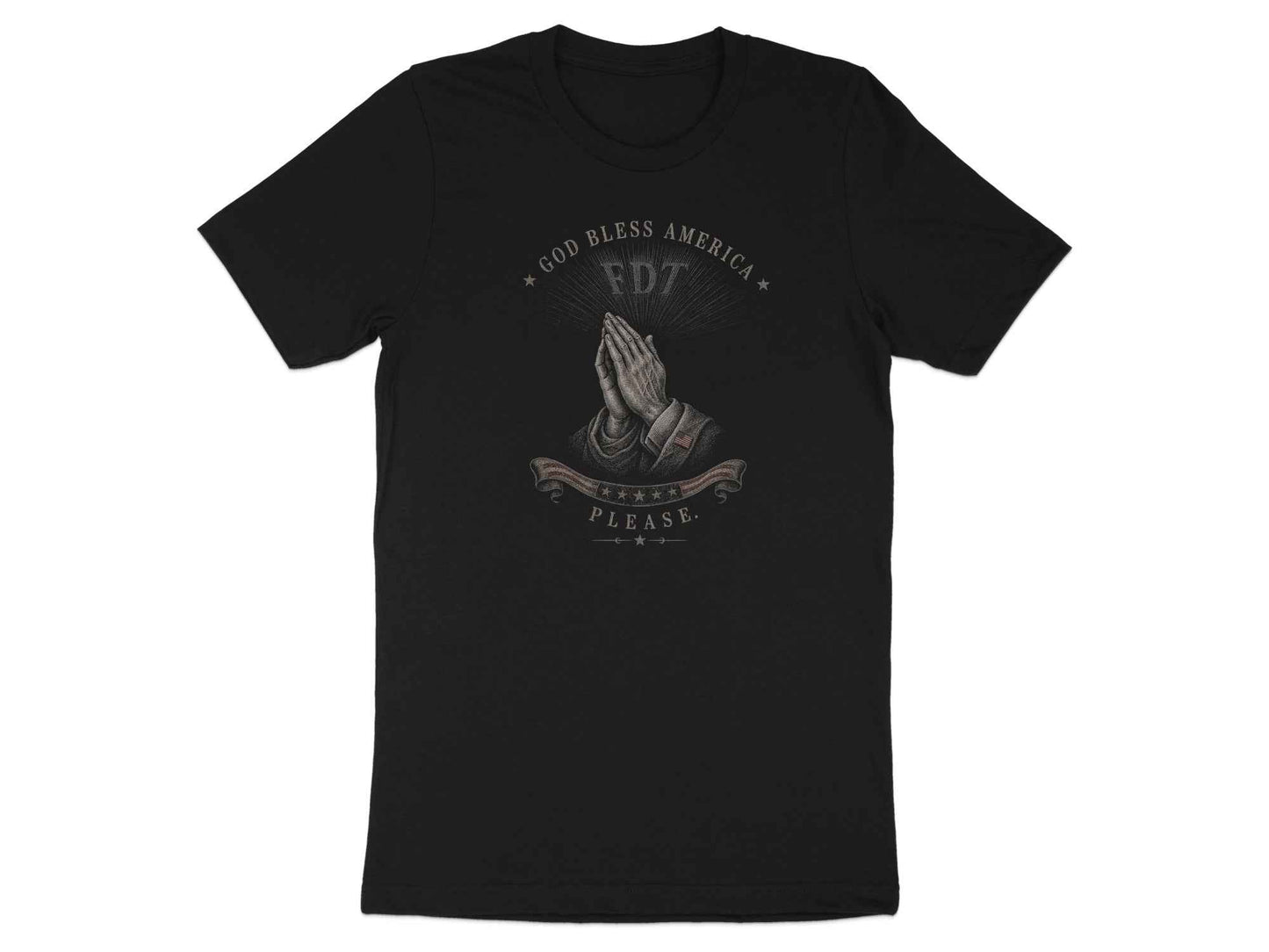 God Bless America. Please. T-Shirt