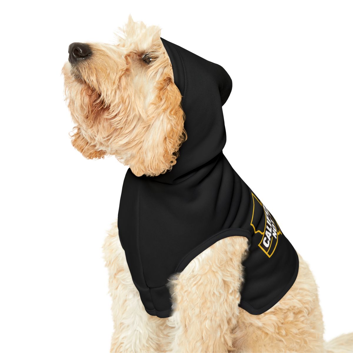 Stylish Black Dog Hoodie with Unique Yellow Shield Design