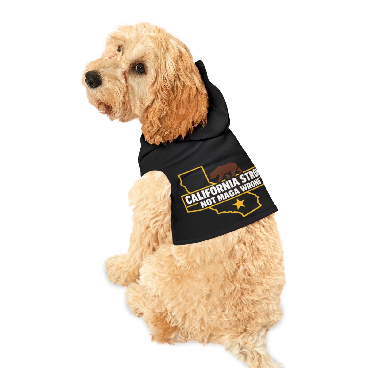 California Strong Not MAGA Wrong Dog Apparel