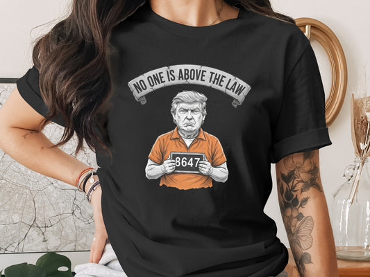 No One Is Above The Law Graphic T-Shirt product type