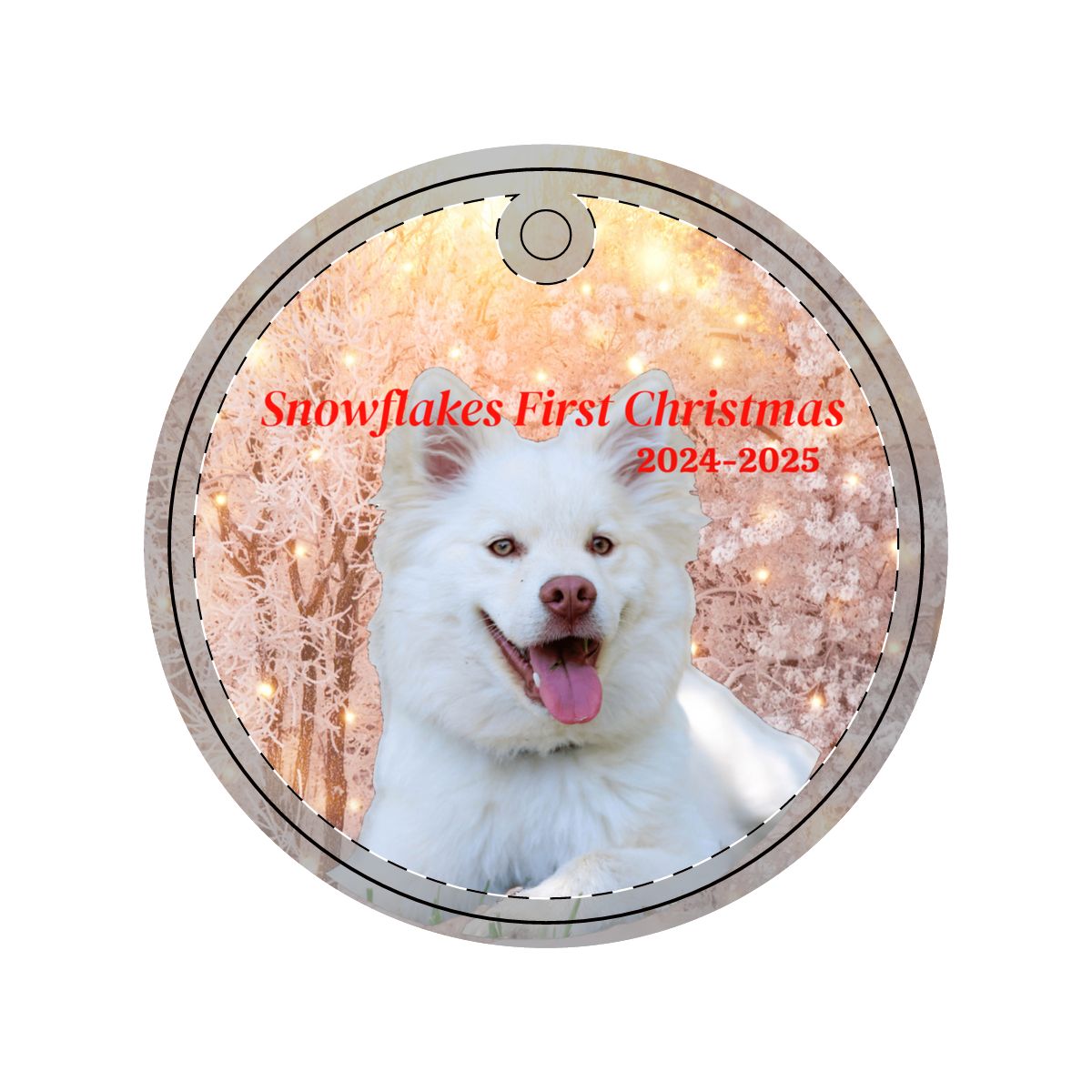 Aluminum Ornaments (Multi-shape)