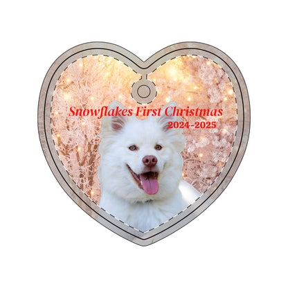 Aluminum Ornaments (Multi-shape)