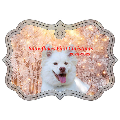 Aluminum Ornaments (Multi-shape)