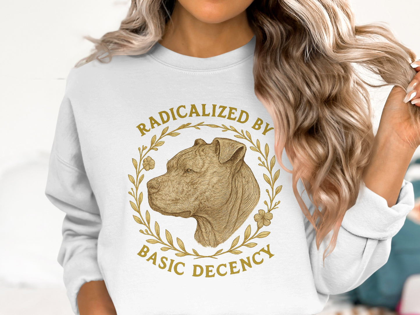 Radicalized By Basic Decency Sweatshirt product
