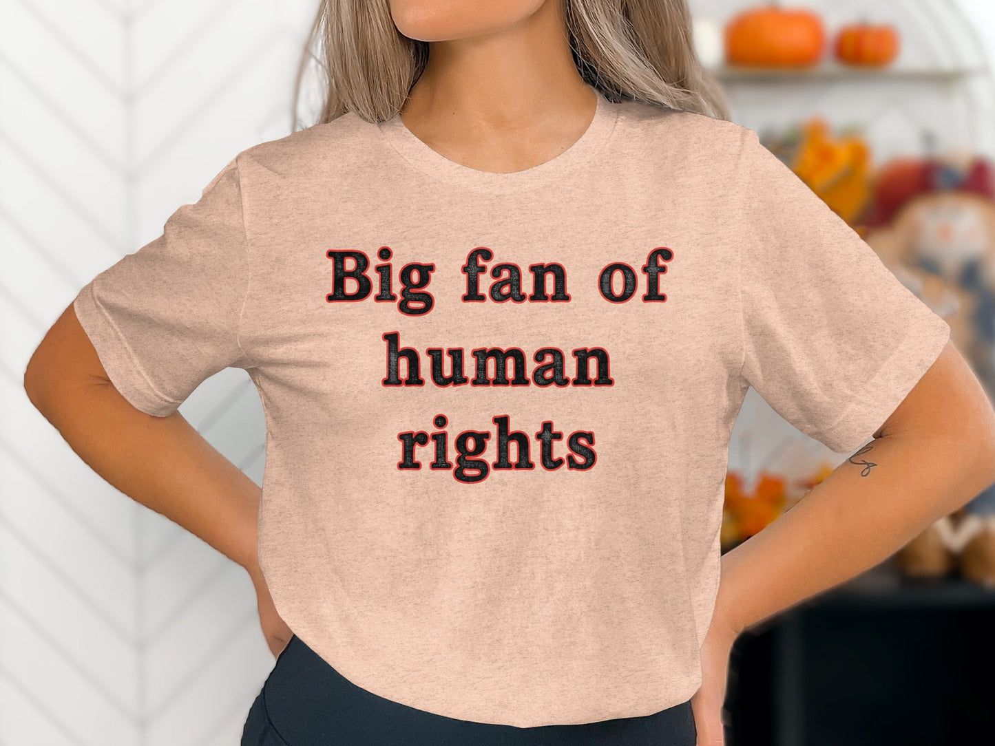 Big fan of human rights statement shirt
