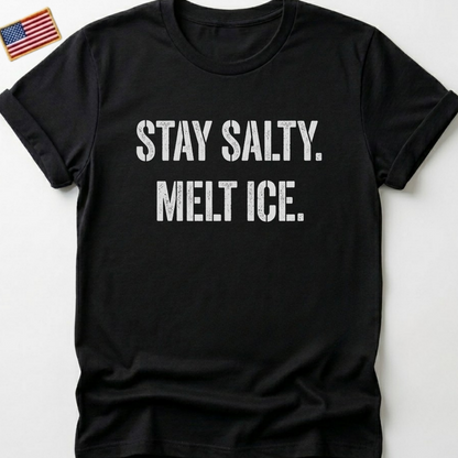 Stay Salty Melt Ice T-Shirts, Funny Sarcastic Quote Tee, Edgy Attitude Graphic Shirt, Humorous Statement T-Shirts, Unique Text Design