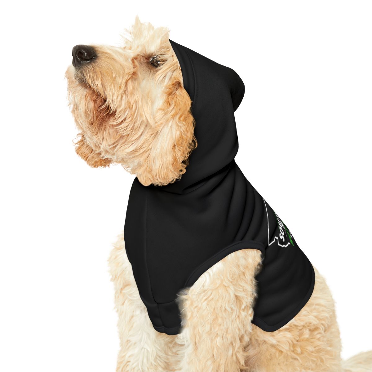 Adorable Furry Friend in Black Dog Hoodie Apparel