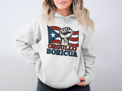 Orgullo Boricua Flag Graphic Hoodie product