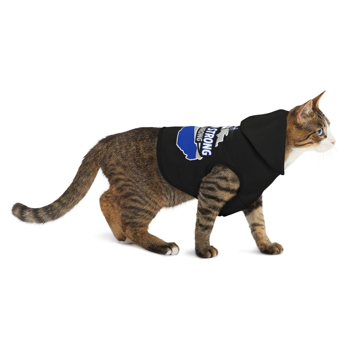Pet Hoodie Wisconsin Strong Black Hooded Cat Clothing