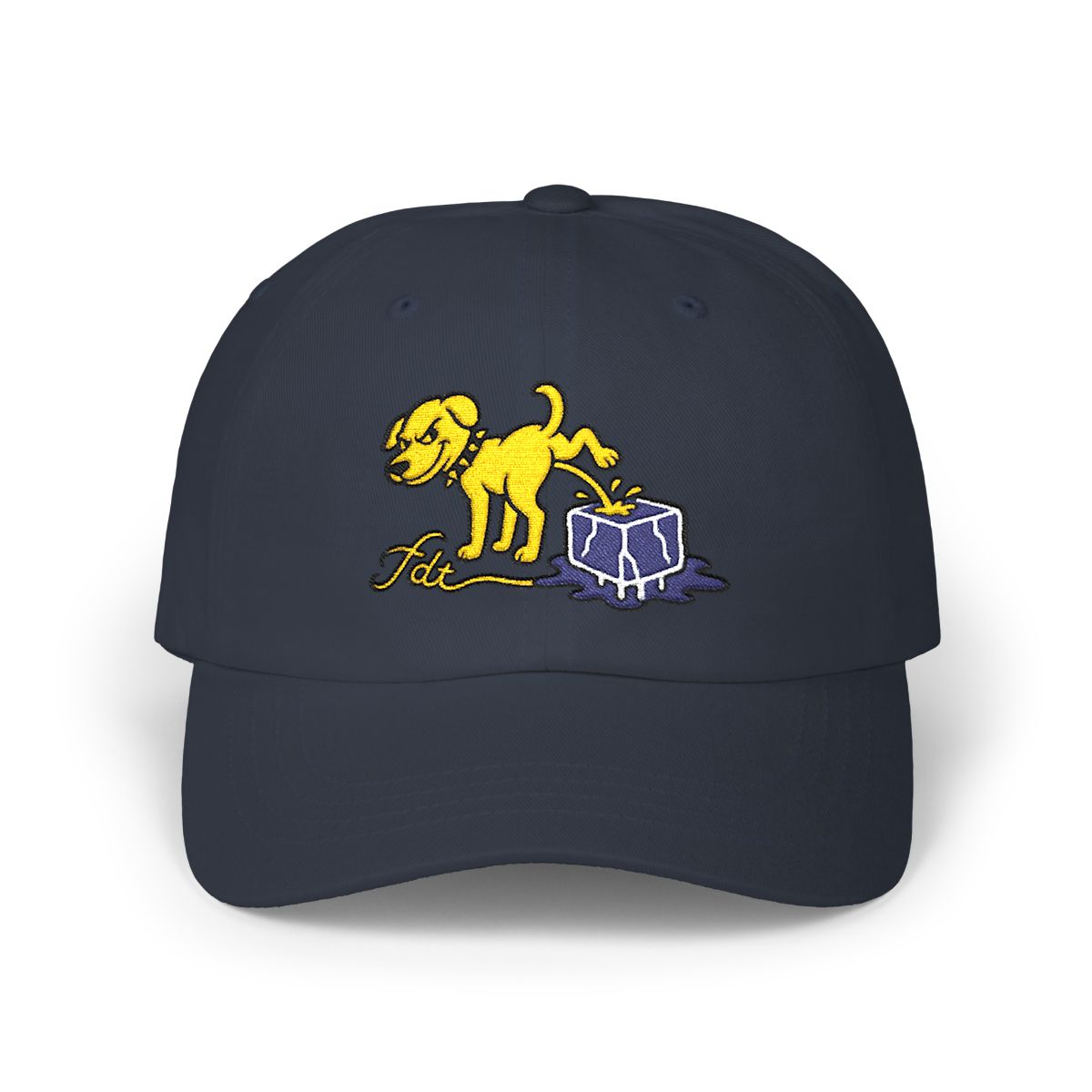 FDT Subtle Embroidery Hat Resist & Protest Funny Hat