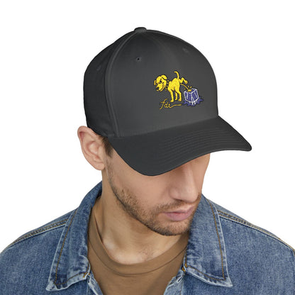 FDT Subtle Embroidery Hat Resist & Protest Funny Hat