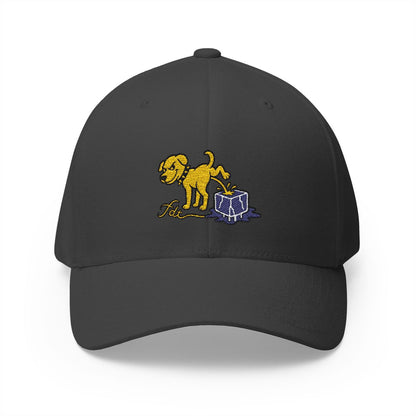 FDT Subtle Embroidery Hat Resist & Protest Funny Hat