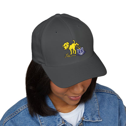 FDT Subtle Embroidery Hat Resist & Protest Funny Hat