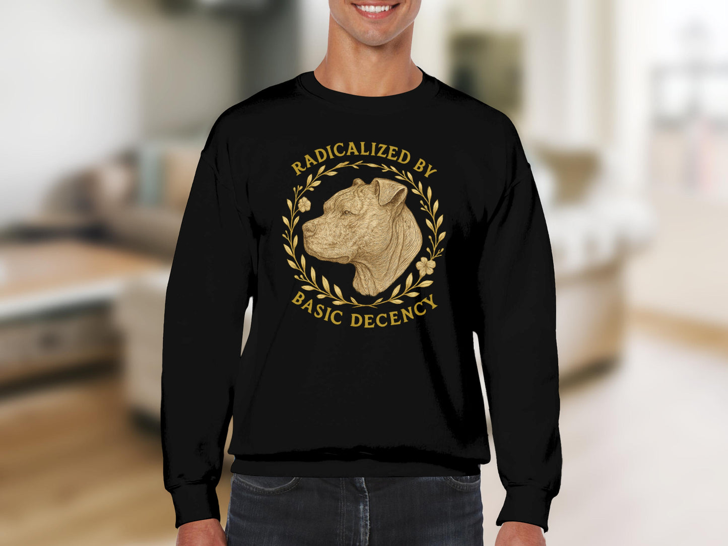 Radicalized By Basic Decency Sweatshirt product type