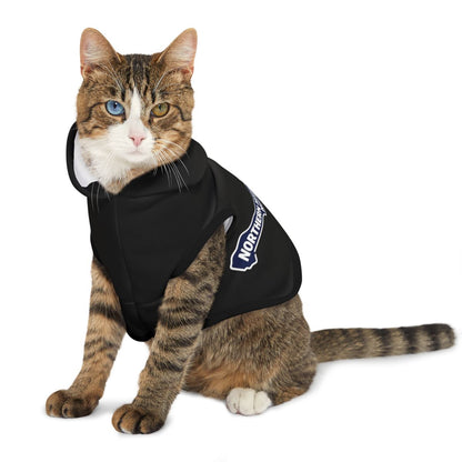 Adorable Cat Wearing Northern Paws Hoodie Product