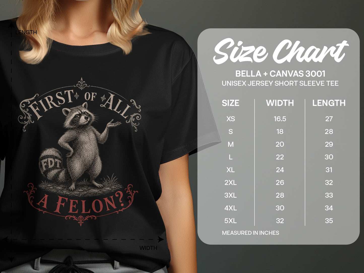 T-shirt size chart for Bella + Canvas 3001 with raccoon graphic.