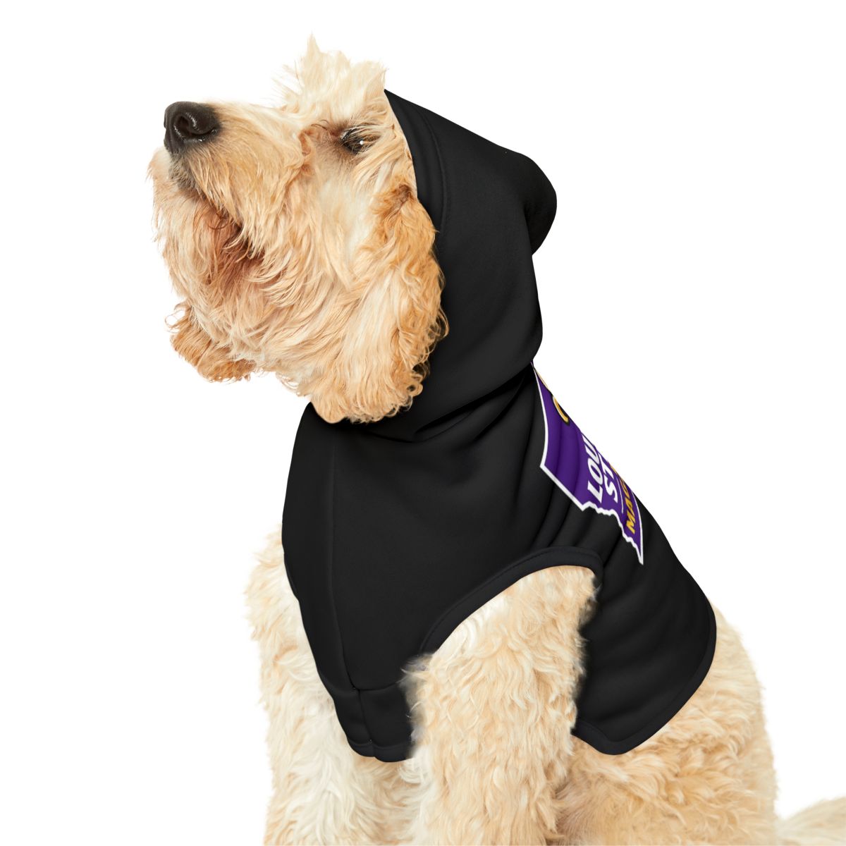 Adorable Black Hoodie with Logo for Dogs Outfit